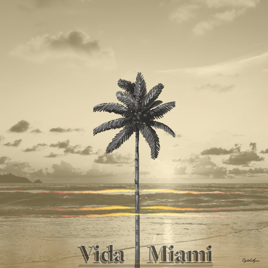 Vida Miami